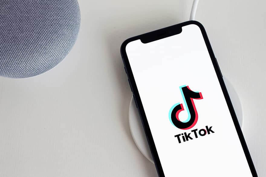 From Viral Videos to Offline Enjoyment: The Role of TikTok Downloaders